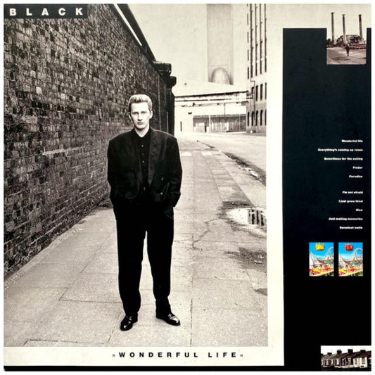 BLACK - WONDERFUL LIFE | VINILO USADO