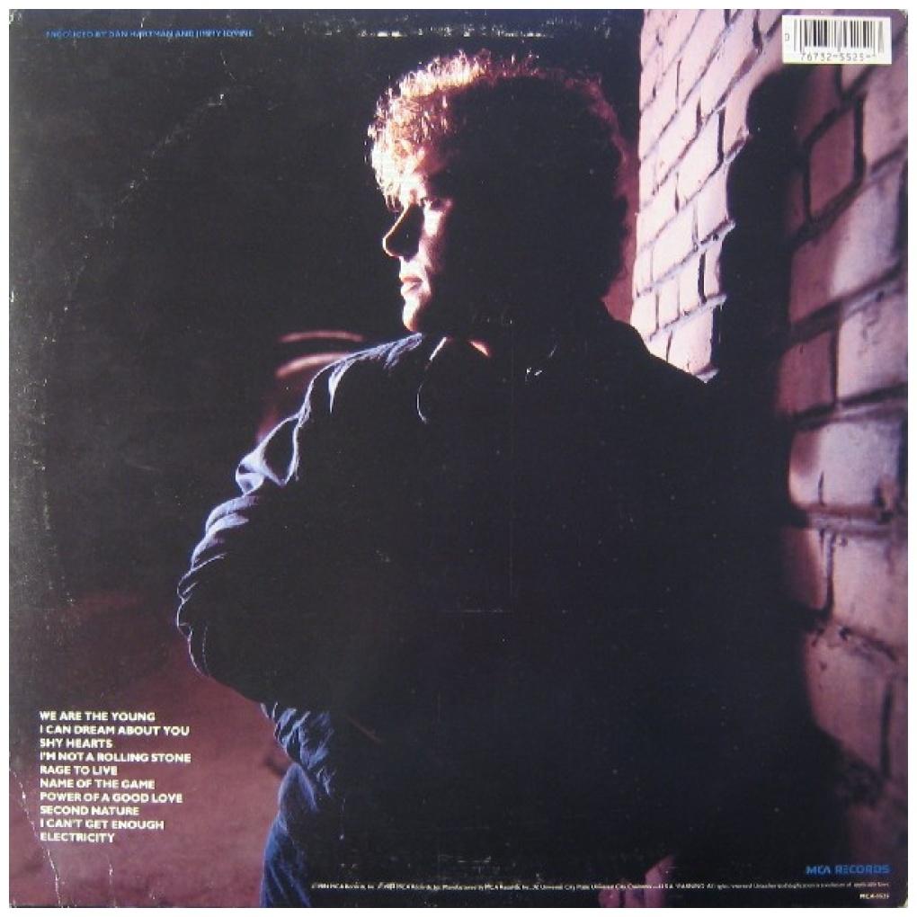 DAN HARTMAN - I CAN DREAM ABOUT YOU | VINILO USADO