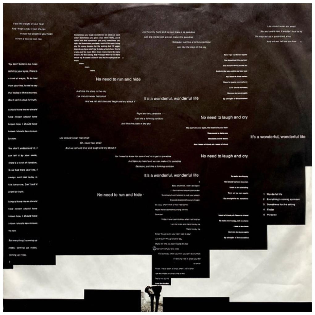 BLACK - WONDERFUL LIFE | VINILO USADO
