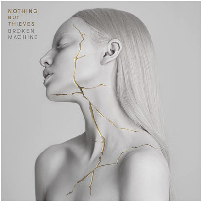 NOTHING BUT THIEVES - BROKEN MACHINE | VINILO
