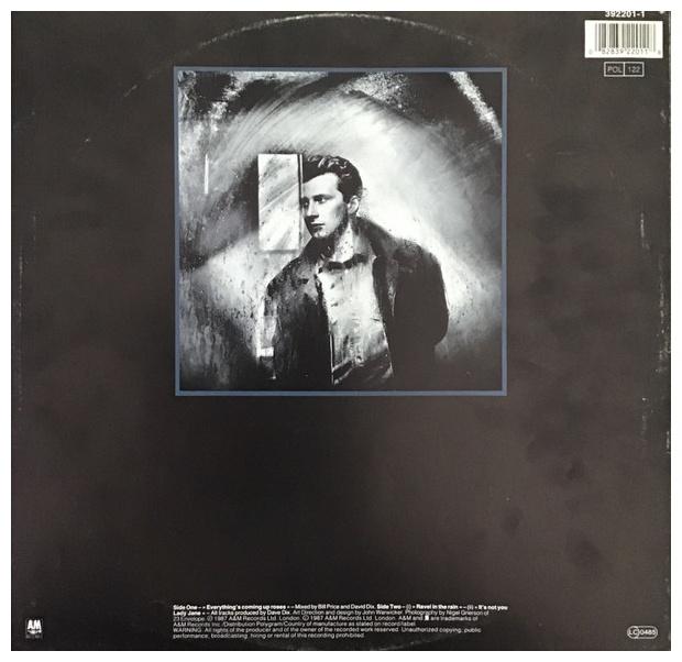 BLACK  - EVERYTHING S COMING UP ROSES | 12" MAXI SINGLE USADO