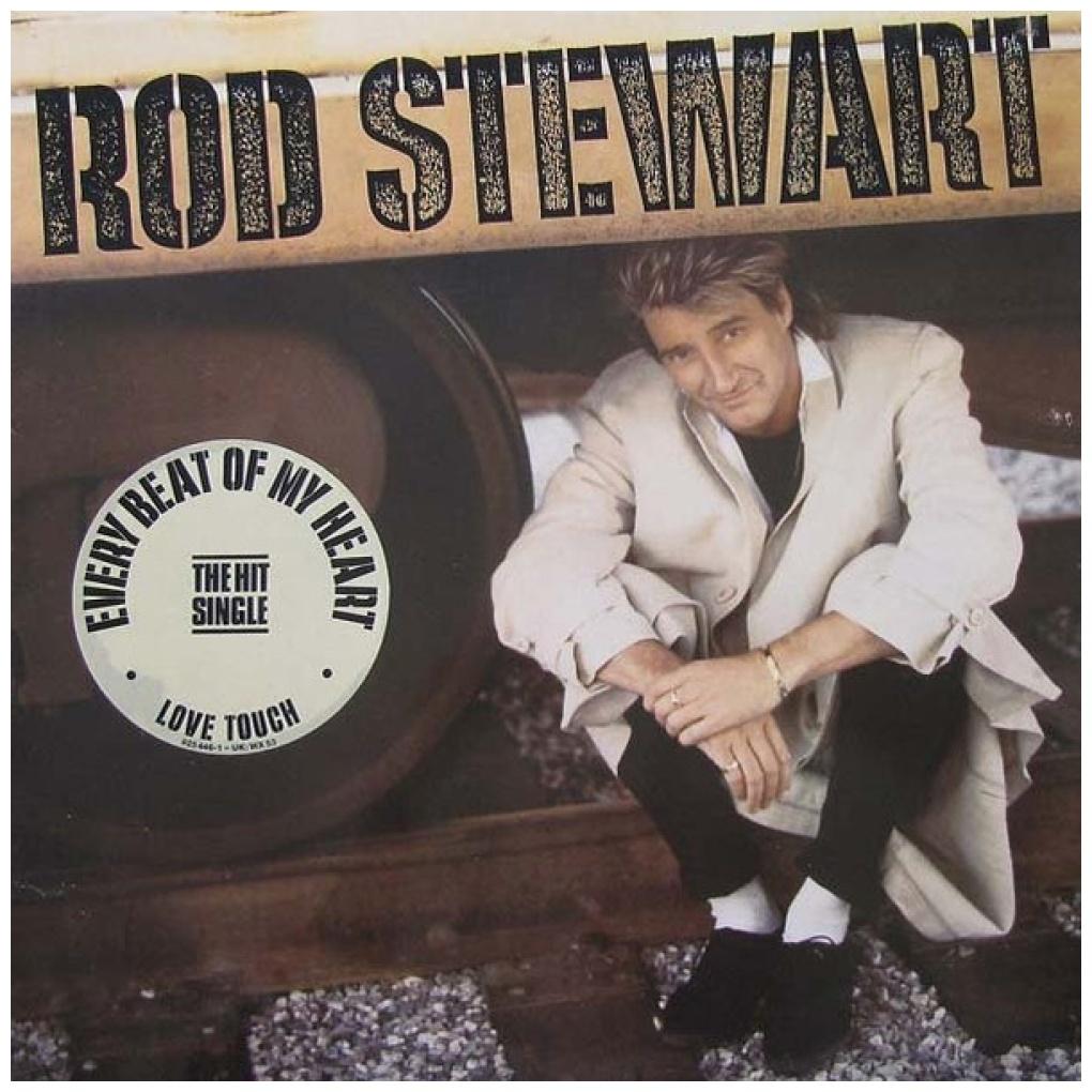 ROD STEWARD - ROD STEWARD | VINILO USADO