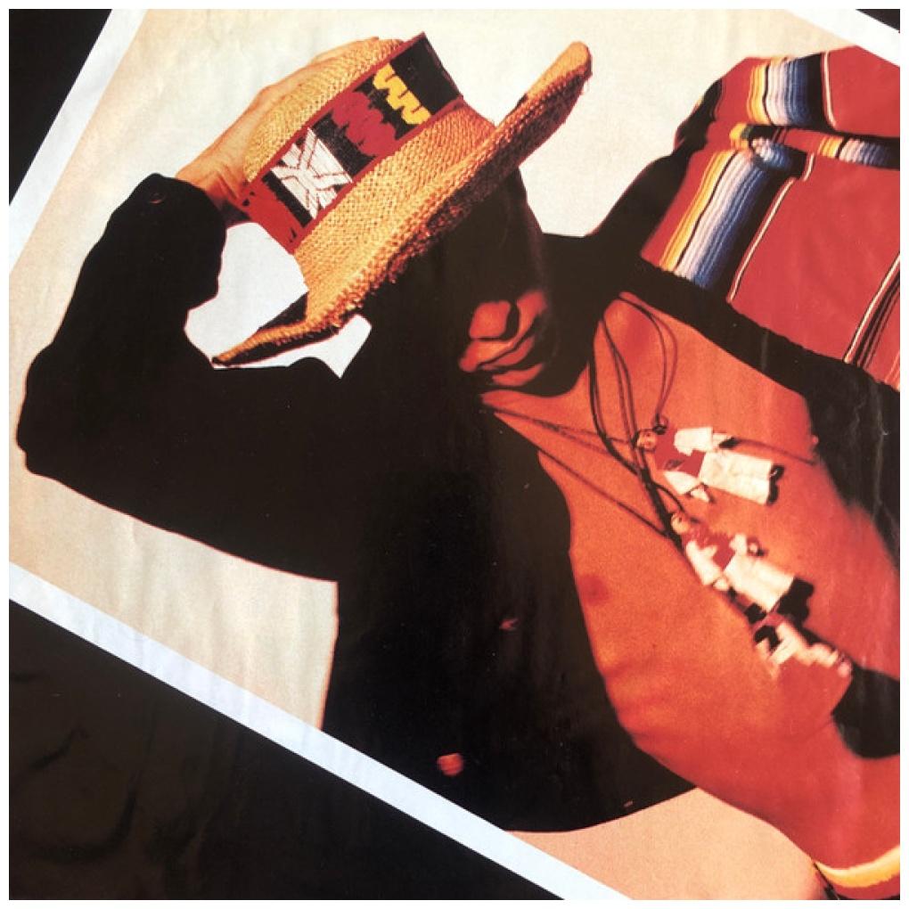 GARIBALDI - QUE TE LA PONGO | VINILO USADO