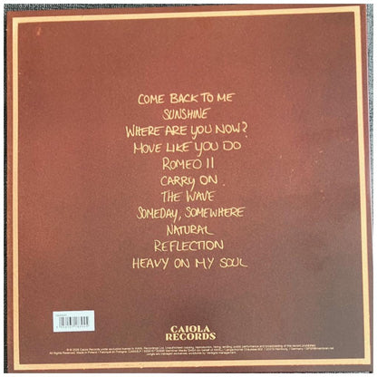 JUNGLE - SUNSHINE | VINILO