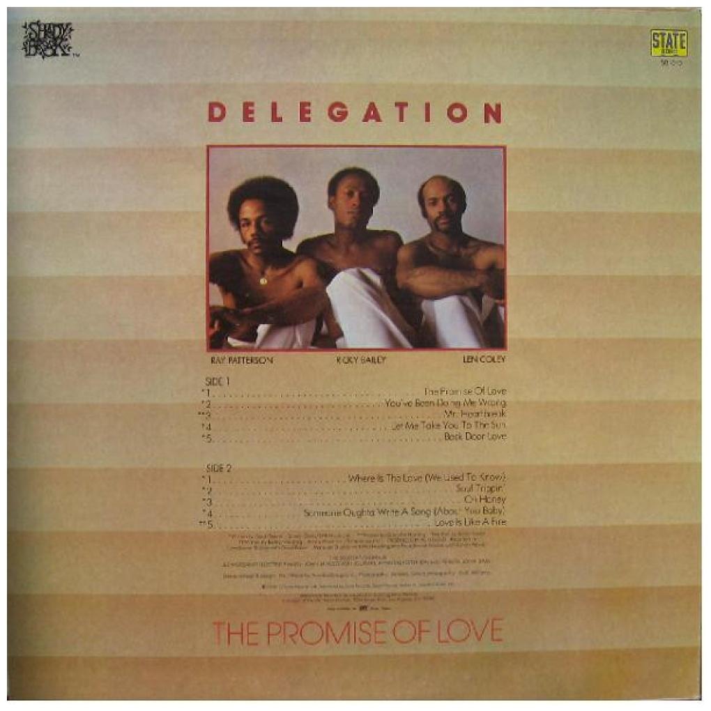 DELEGATION - THE PROMISE OF LOVE | VINILO USADO