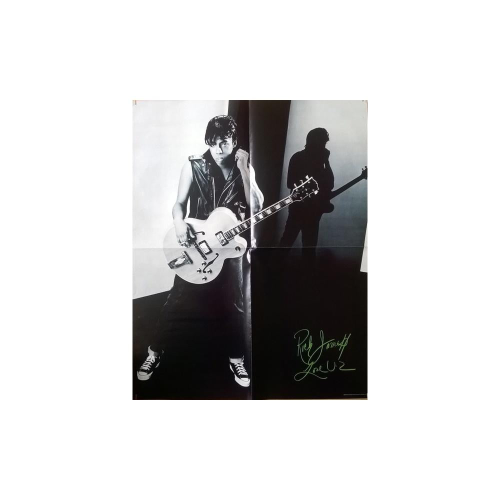 RICK JAMES - REFLECTIONS: GREATEST HITS (INC. POSTER) | VINILO USADO