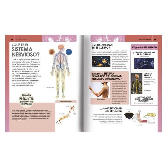 CURIOSAMENTE - CUERPO HUMANO (TAPA DURA) - EQUIPO EDITORIAL | LIBRO