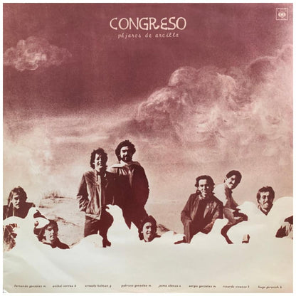 CONGRESO - PAJAROS DE ARCILLA | VINILO