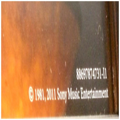 OZZY OSBOURNE - BLIZZARD OF OZZ (PICTURE DISC) | VINILO