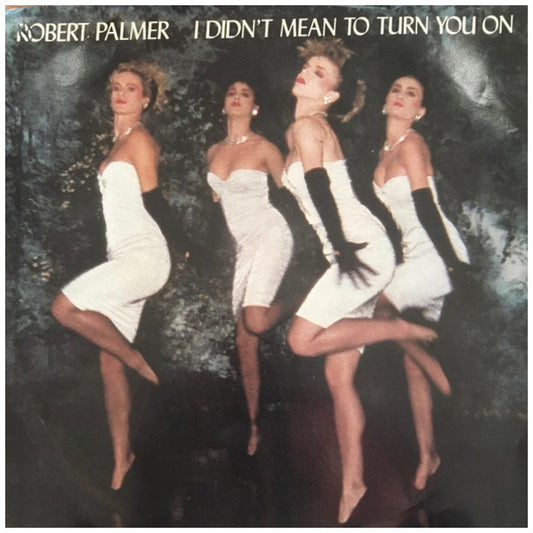 ROBERT PALMER - I DIDN'T MEAN TO TURN YOU ON | 7" SINGLE USADO