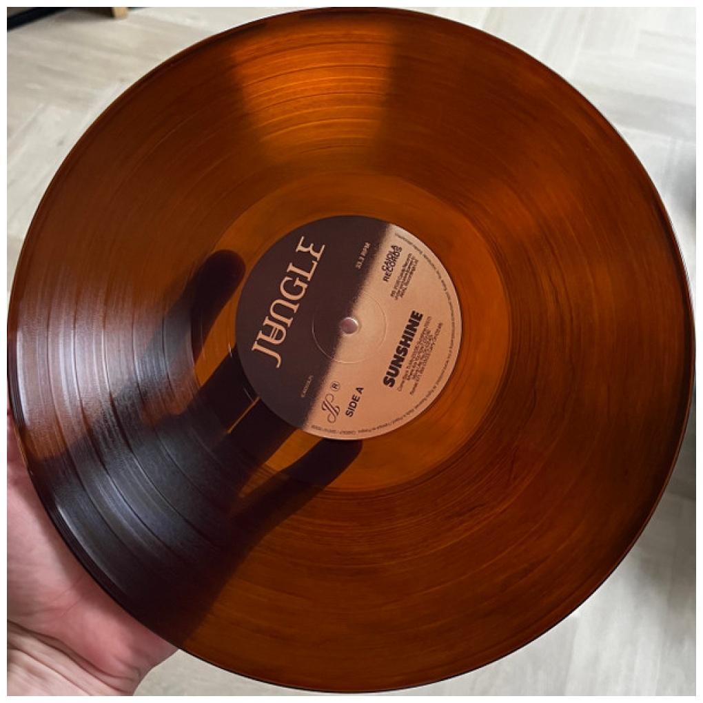JUNGLE - SUNSHINE | VINILO