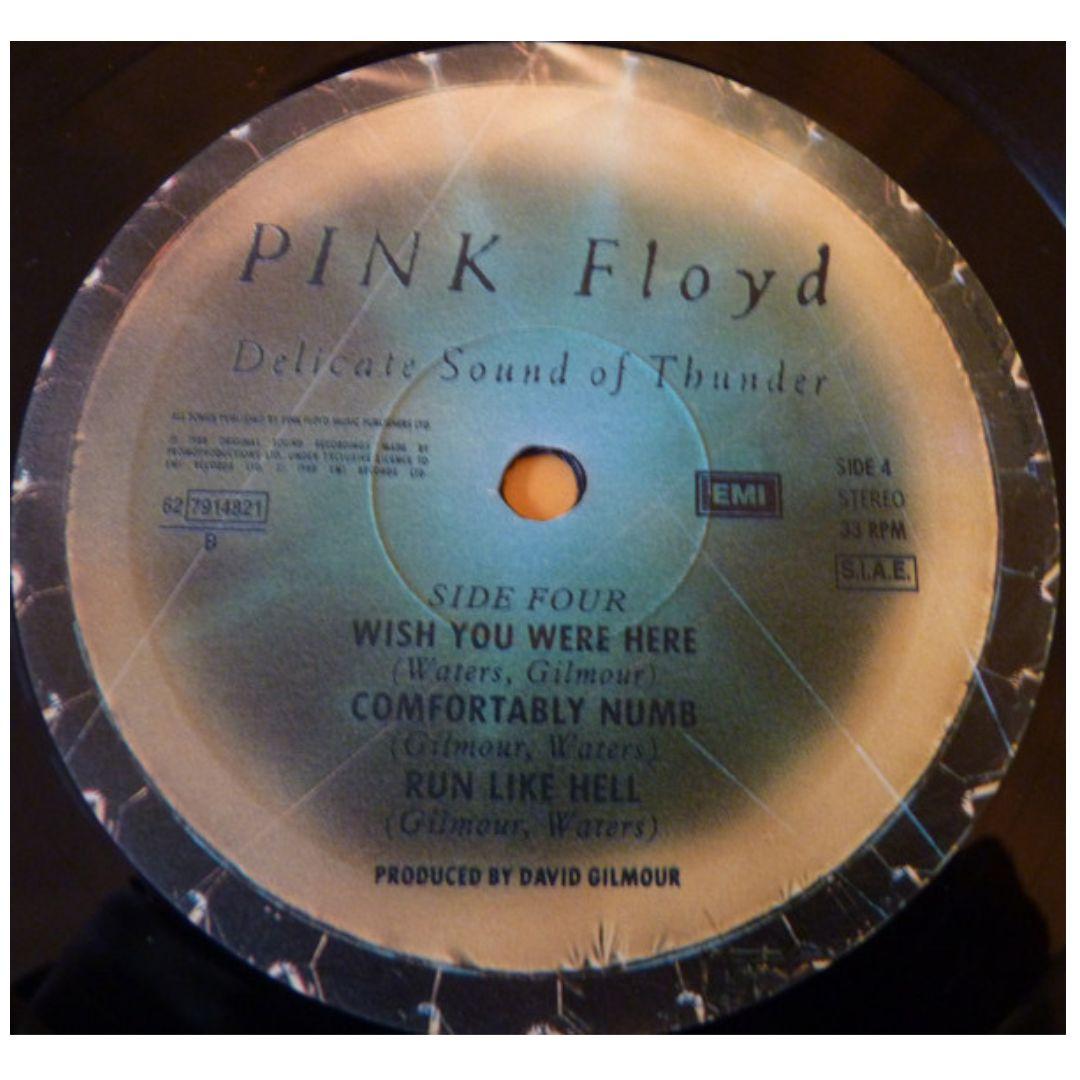PINK FLOYD - DELICATE SOUND OF A THUNDER (2LP) | VINILO
