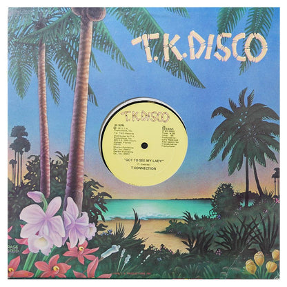 T-CONNECTION - DO WHAT YOU WANNA DO (DISCO VERSION) | 12" MAXI SINGLE USADO