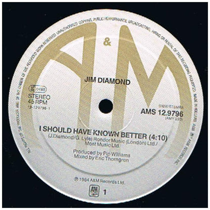 JIM DIAMOND - I SHOULD HAVE KNOWN BETTER | 12'' MAXI SINGLE USADO