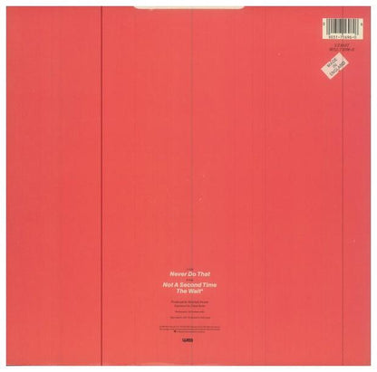 PRETENDERS - NEVER DO THAT | 12" MAXI SINGLE USADO