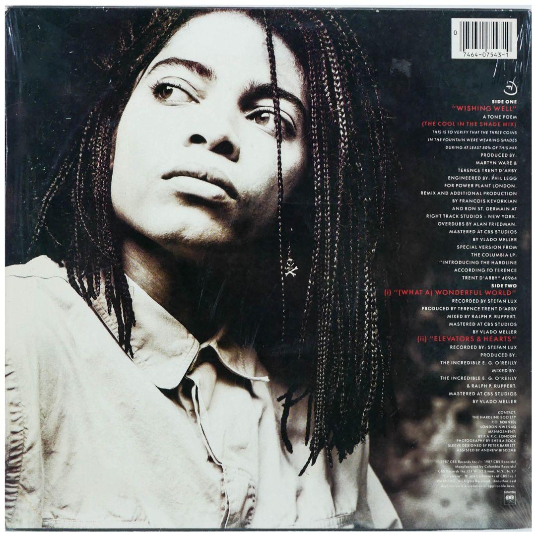 TERENCE TRENT D ARBY - WISHING WELL | 12" MAXI SINGLE USADO
