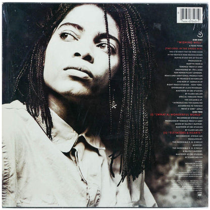 TERENCE TRENT D ARBY - WISHING WELL | 12" MAXI SINGLE USADO