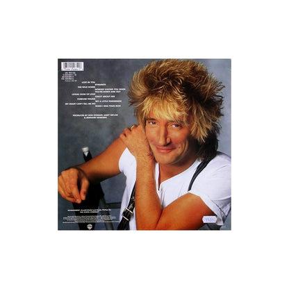 ROD STEWART - OUT OF ORDER  | VINILO USADO