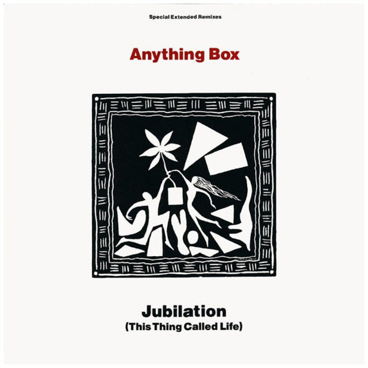 ANYTHING BOX - JUBILATION (THIS THING CALLED LIFE) | 12'' MAXI SINGLE USADO
