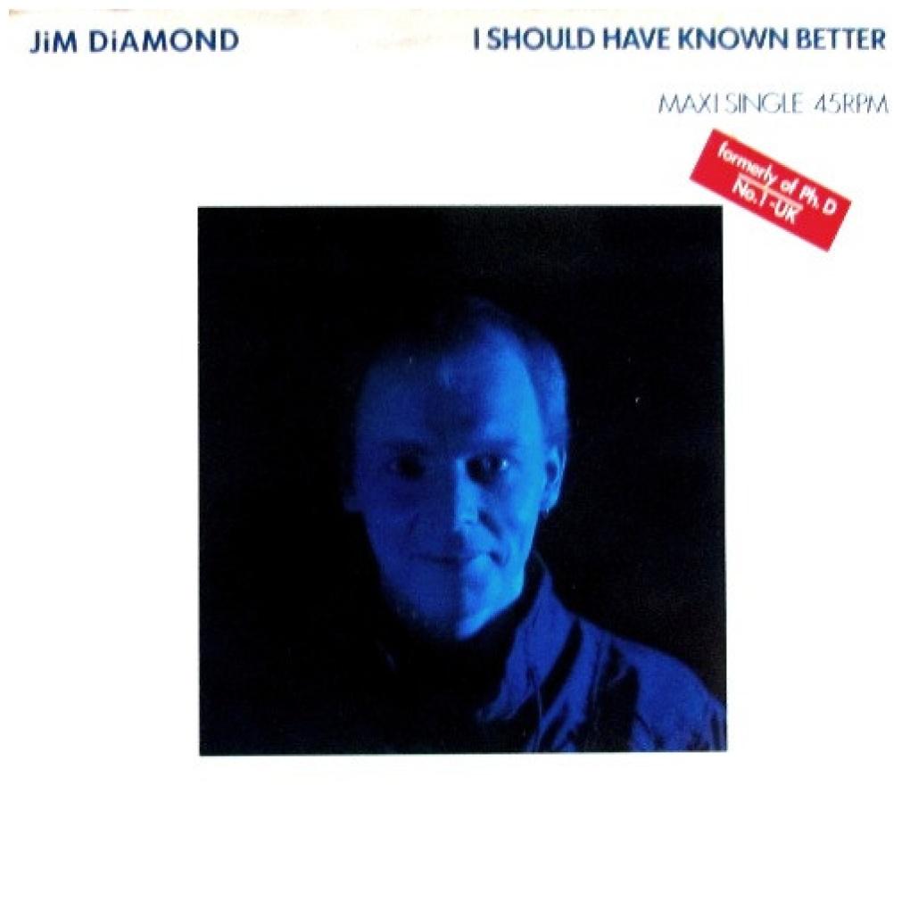 JIM DIAMOND - I SHOULD HAVE KNOWN BETTER | 12'' MAXI SINGLE USADO