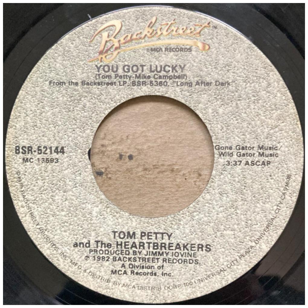 TOM PETTY - YOU GOT LUCKY | 7" SINGLE USADO