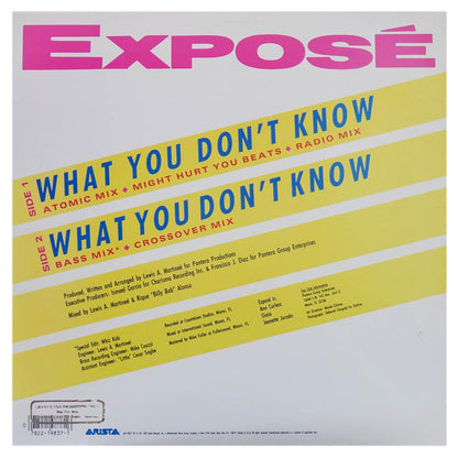 EXPOSE - WHAT YOU DONT KNOW | 12 MAXI SINGLE USADO
