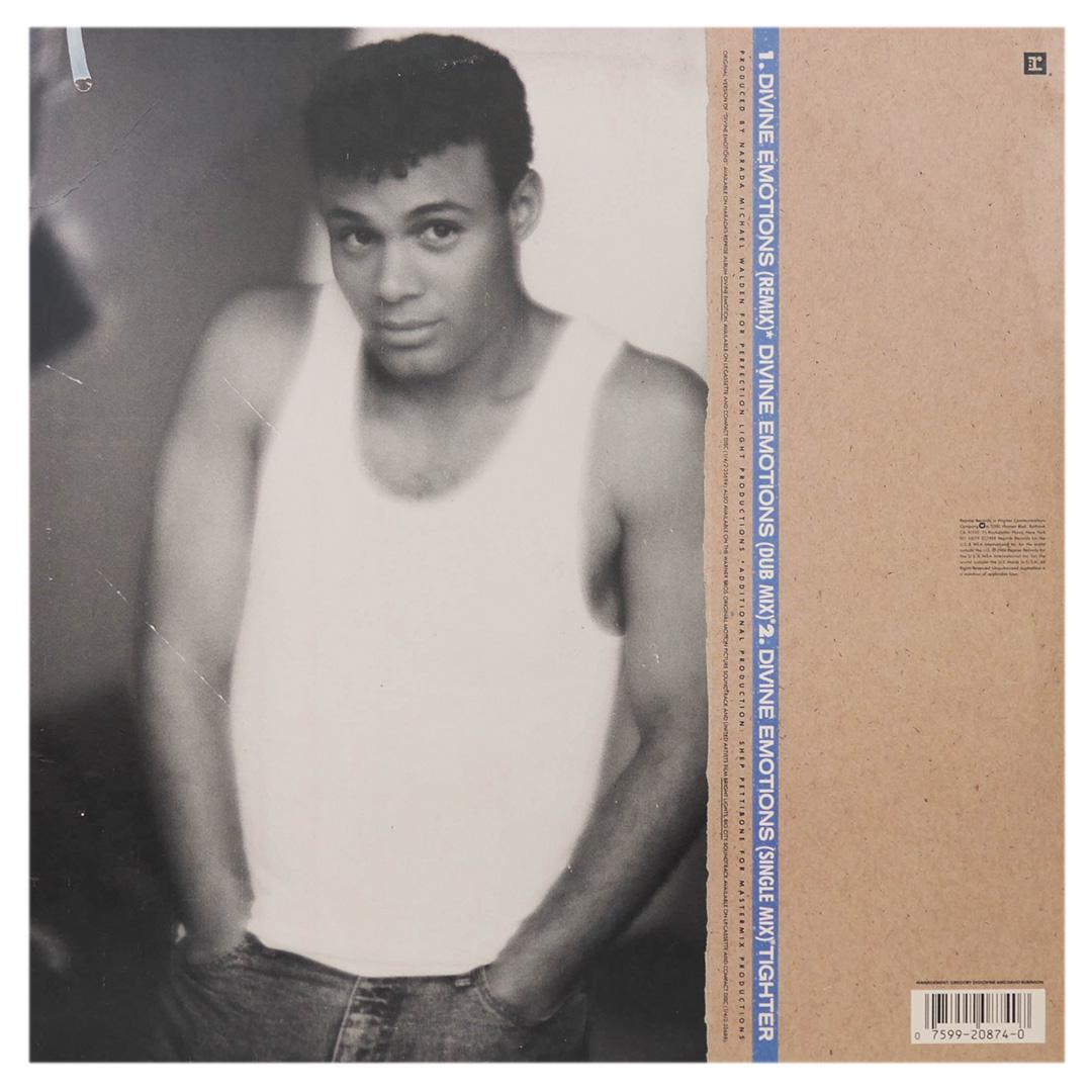 NARADA MICHAEL WALDEN - DIVINE EMOTIONS | 12" MAXI SINGLE USADO