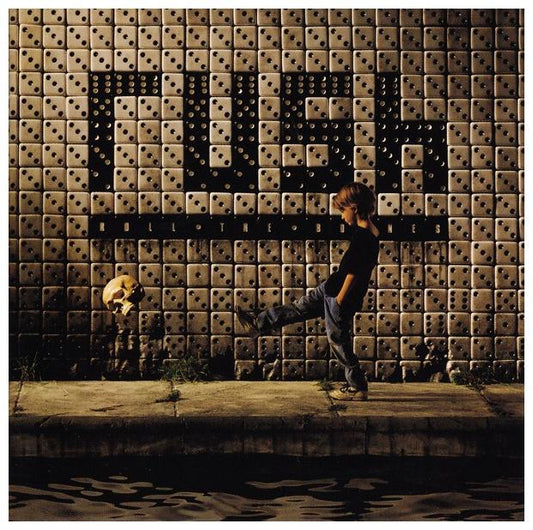 RUSH - ROLL THE BONES | CD