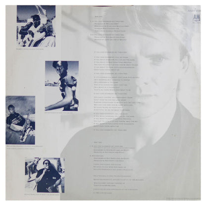 STING - IF YOU LOVE SOMEBODY SET THEM FREE | 12" MAXI SINGLE USADO
