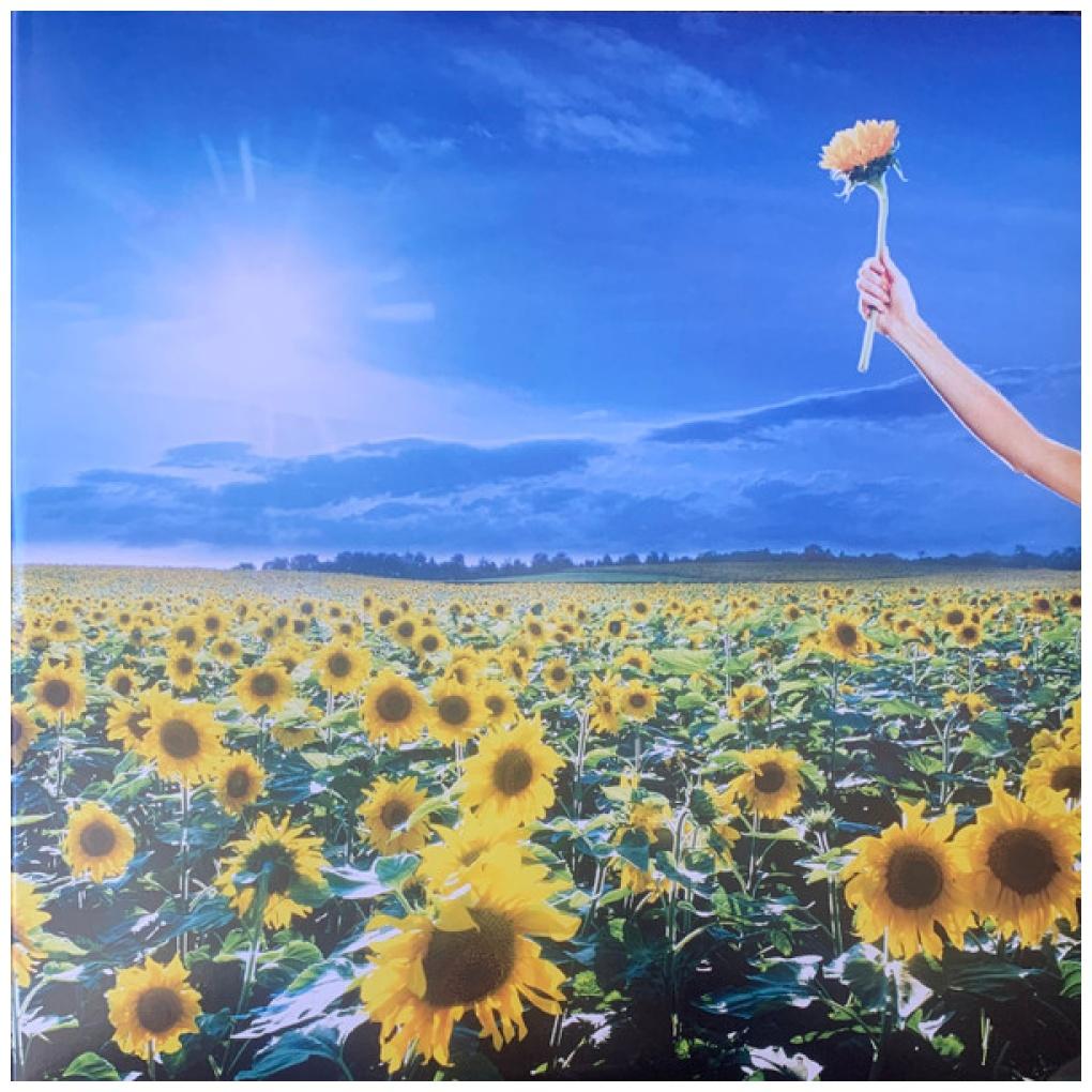 STONE TEMPLE PILOTS - THANK YOU: GREATEST HITS (OPAQUE SKY BLUE VINYL) (2LP)  | VINILO