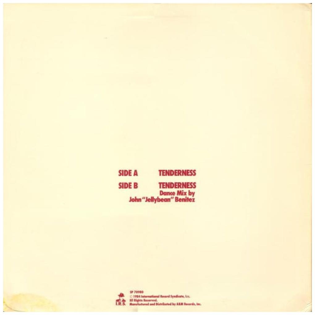 GENERAL PUBLIC - TENDERNESS | 12'' MAXI SINGLE USADO