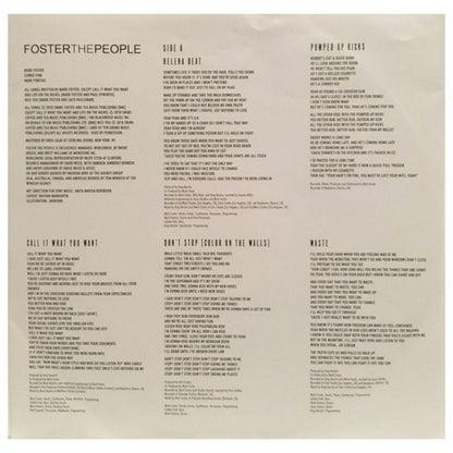 FOSTER THE PEOPLE - TORCHES | VINILO