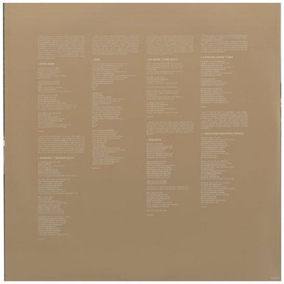 ANNIE LENNOX - ANNIE LENNOX COLLECTION (2LP) | VINILO