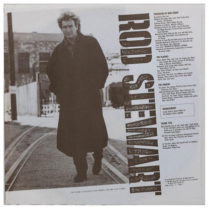 ROD STEWART - ROD STEWART | VINILO USADO