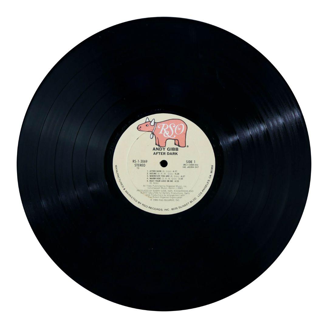 ANDY GIBB - AFTER DARK | VINILO USADO