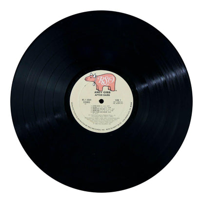 ANDY GIBB - AFTER DARK | VINILO USADO