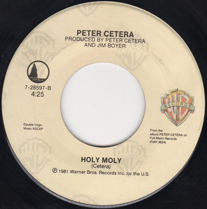 PETER CETERA  FT. AMY GRANT - THE NEXT TIME I FALL (REMIX) | 7" SINGLE VINILO USADO
