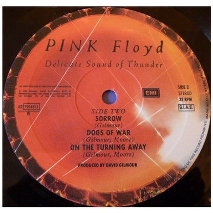 PINK FLOYD - DELICATE SOUND OF A THUNDER (2LP) | VINILO