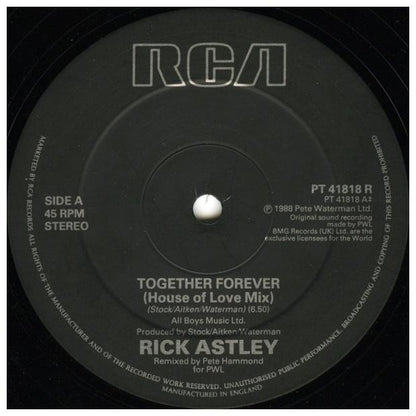 RICK ASTLEY  - TOGETHER FOREVER (HOUSE REMIX) | 12" MAXI SINGLE USADO