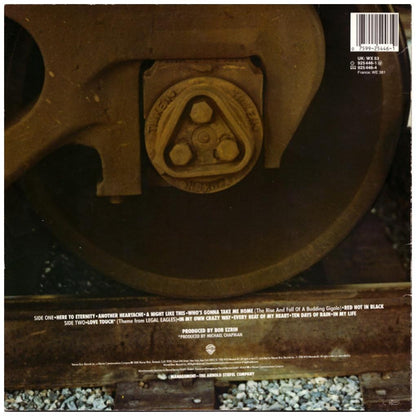ROD STEWARD - ROD STEWARD | VINILO USADO