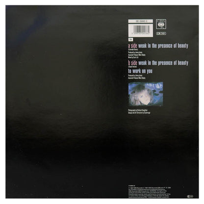 ALISON MOYET - WEAK IN THE PRESENCE OF BEAUTY | 12" MAXI SINGLE USADO