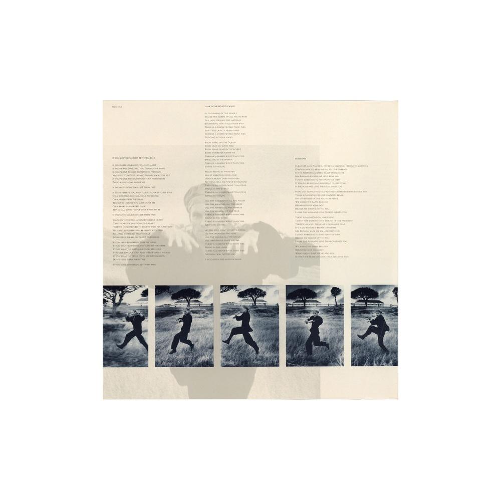 STING - THE DREAM OF THE BLUE TURTLES  | VINILO USADO