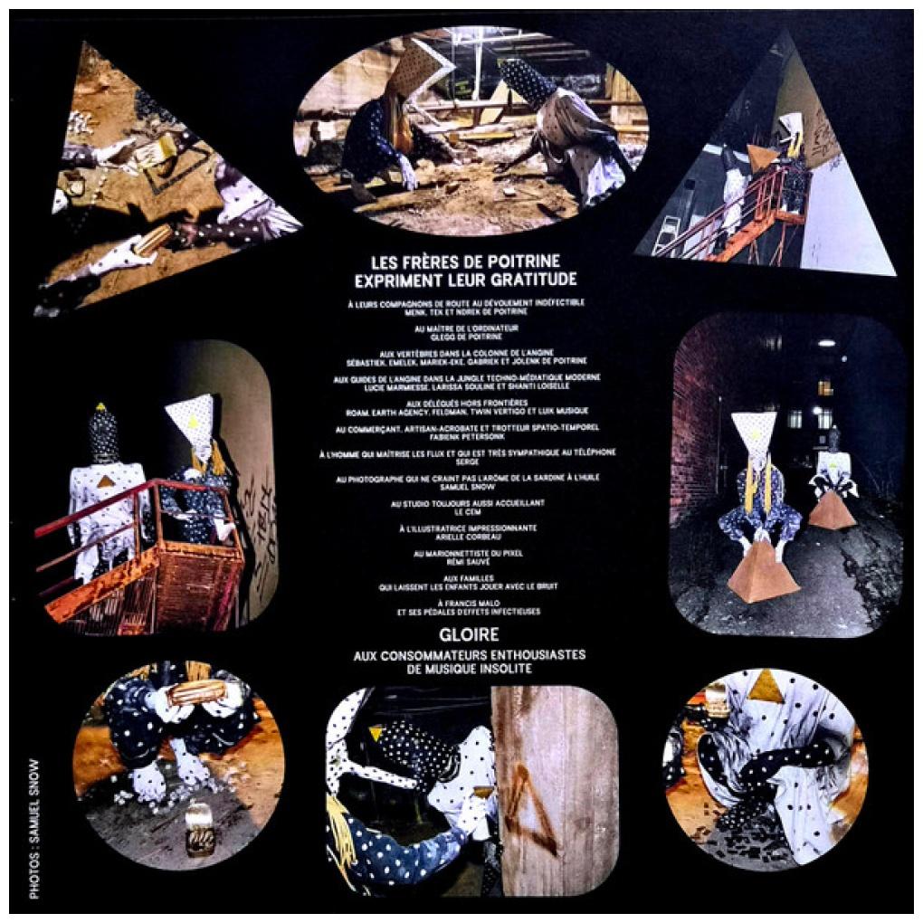ANGINE DE POITRINE - VOL. II | VINILO