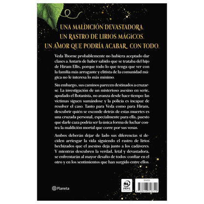 SIGHT UNSEEN. BAJO EL MISMO HECHIZO (TAPA BLANDA) - ALEXIS MARIE | LIBRO