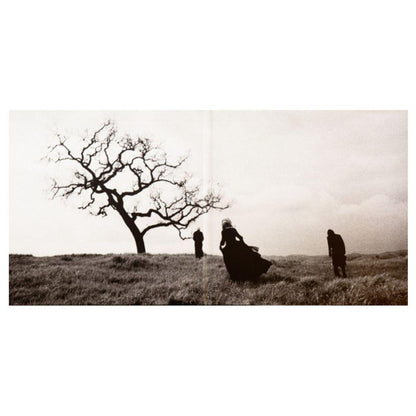 SMASHING PUMPKINS - ADORE | VINILO