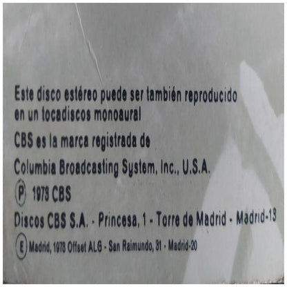 ROBERTO CARLOS - CANTA EN ESPAÑOL | VINILO USADO