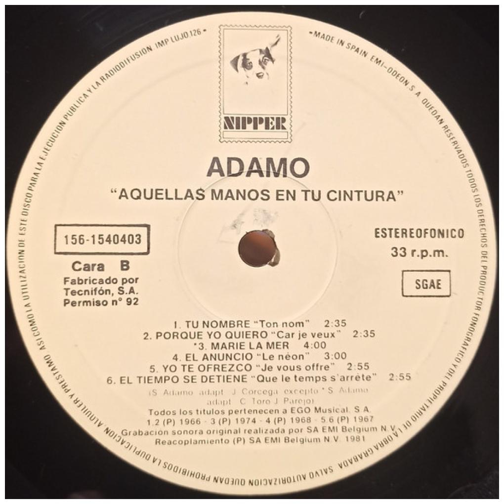ADAMO - ADAMO EN ESPAÑOL (2LP) | VINILO USADO