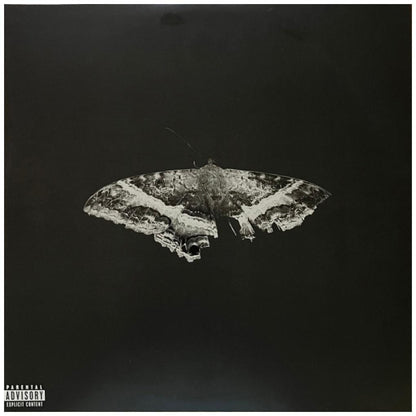 KENDRICK LAMAR - TO PIMP A BUTTERFLY (2LP) (10 YEAR ANNIVERSARY EDITION) | VINILO