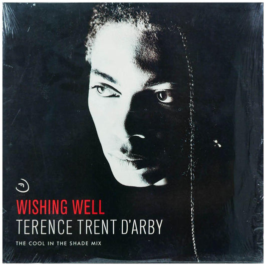 TERENCE TRENT D ARBY - WISHING WELL | 12" MAXI SINGLE USADO