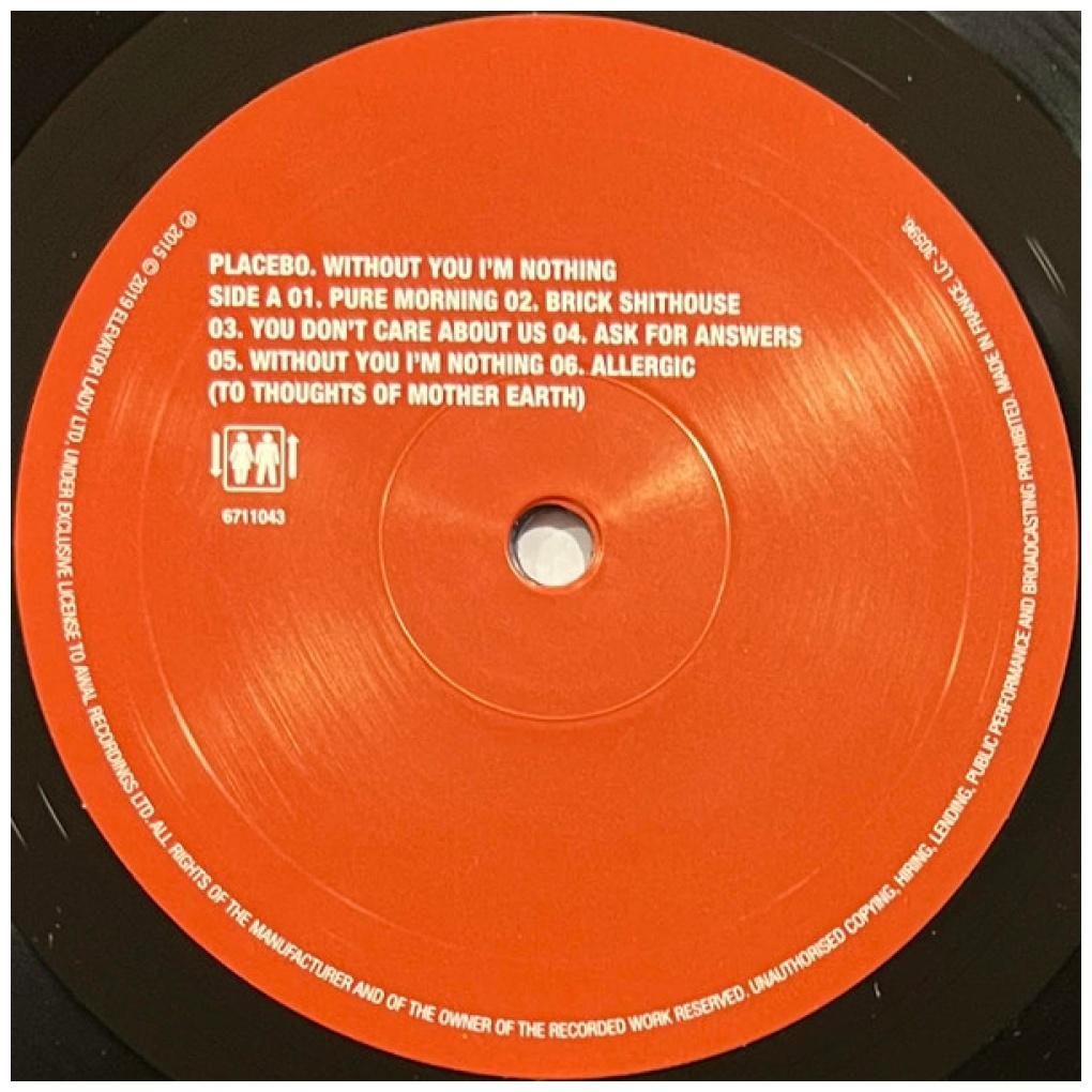 PLACEBO - WITHOUT YOU I'M NOTHING | VINILO